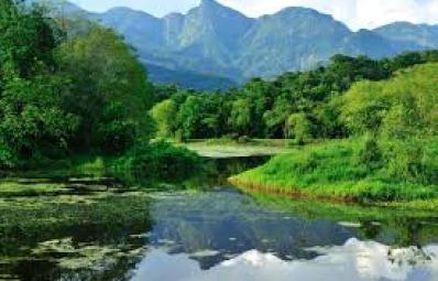 Sustainable Natural Resource