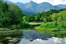 Sustainable Natural Resource